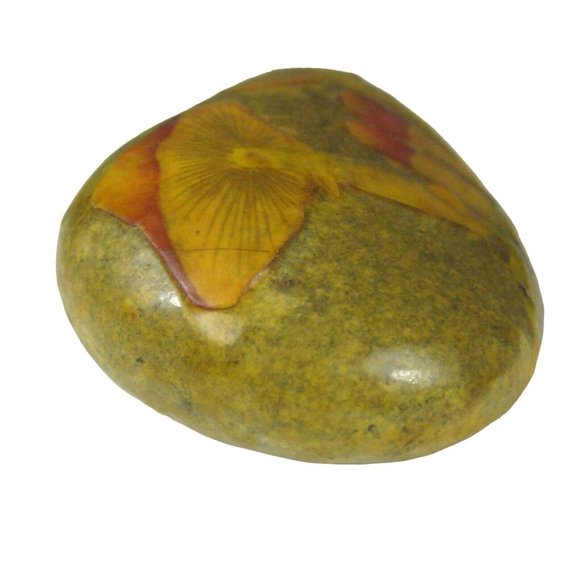 Apropos Home Mizner Mushroom Design Stone Paperweight Palm Beach  3.5 inches - Picture 3 of 8